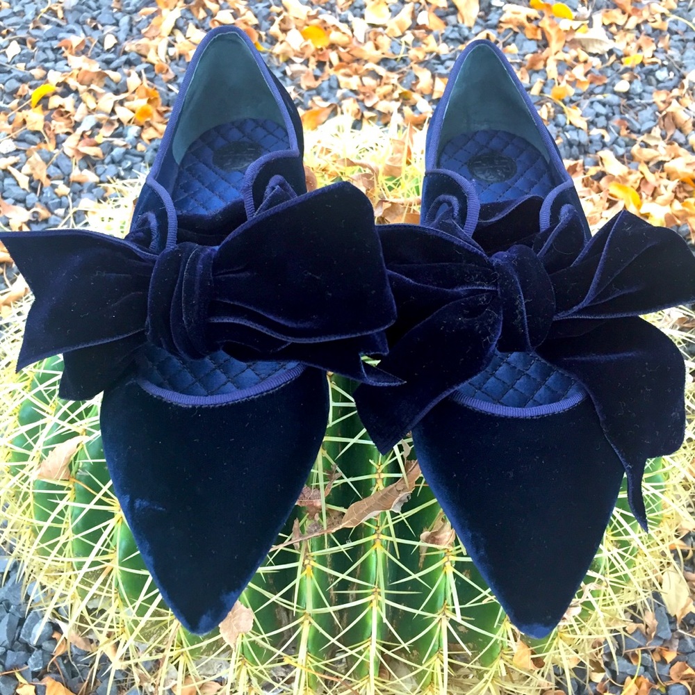 🎉HOST PICK🎉Tory Burch, Navy Clara Bow Flats